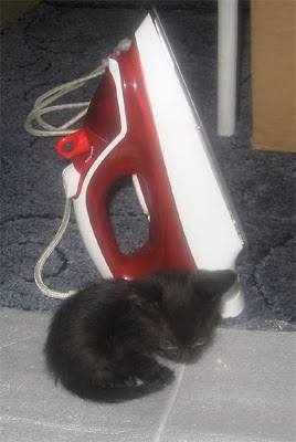 The new member of our family