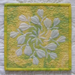 Sample #2 of my shadow trapunto quilts…