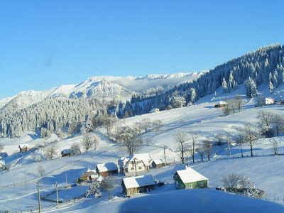 Wintery scenes