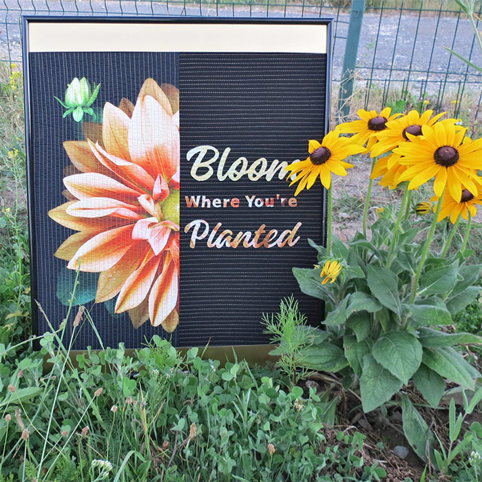 Inspirational Quilts